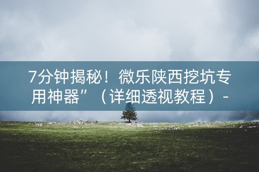 7分钟揭秘！微乐陕西挖坑专用神器”（详细透视教程）-哔哩哔哩
