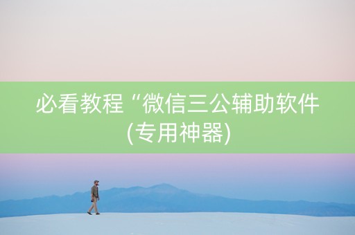 必看教程“微信三公辅助软件(专用神器)