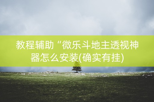 教程辅助“微乐斗地主透视神器怎么安装(确实有挂)