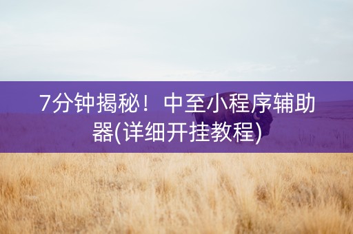 7分钟揭秘！中至小程序辅助器(详细开挂教程)