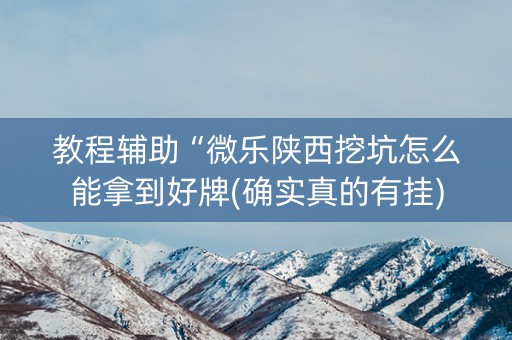 教程辅助“微乐陕西挖坑怎么能拿到好牌(确实真的有挂)