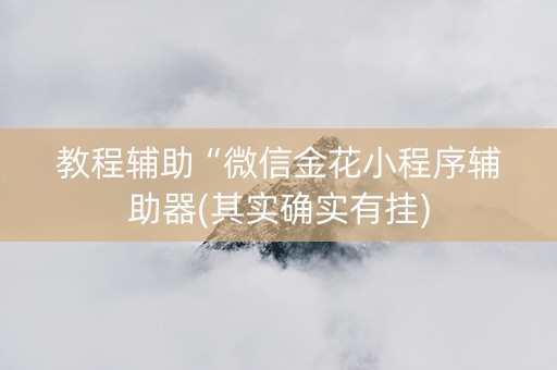教程辅助“微信金花小程序辅助器(其实确实有挂)