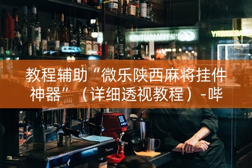 教程辅助“微乐陕西麻将挂件神器”（详细透视教程）-哔哩哔哩