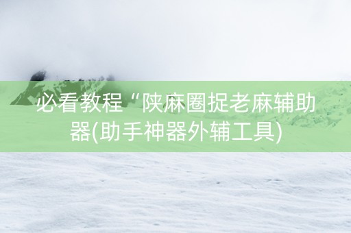必看教程“陕麻圈捉老麻辅助器(助手神器外辅工具)