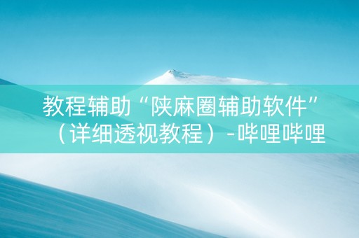 教程辅助“陕麻圈辅助软件”（详细透视教程）-哔哩哔哩