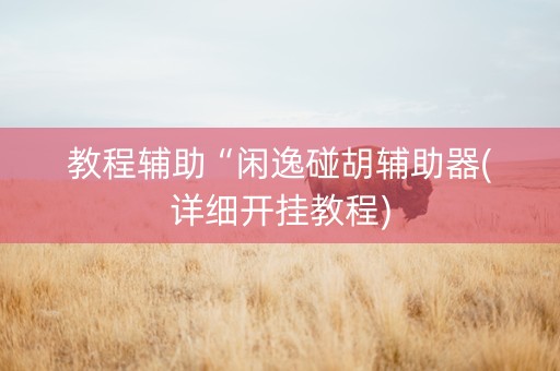 教程辅助“闲逸碰胡辅助器(详细开挂教程)