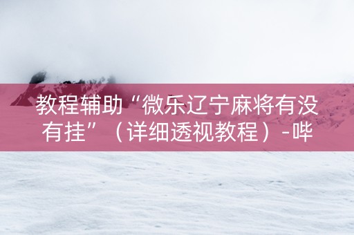 教程辅助“微乐辽宁麻将有没有挂”（详细透视教程）-哔哩哔哩