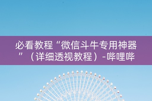 必看教程“微信斗牛专用神器”（详细透视教程）-哔哩哔哩