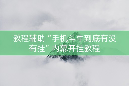 教程辅助“手机斗牛到底有没有挂”内幕开挂教程