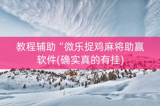 教程辅助“微乐捉鸡麻将助赢软件(确实真的有挂)