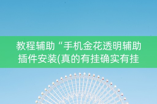 教程辅助“手机金花透明辅助插件安装(真的有挂确实有挂)