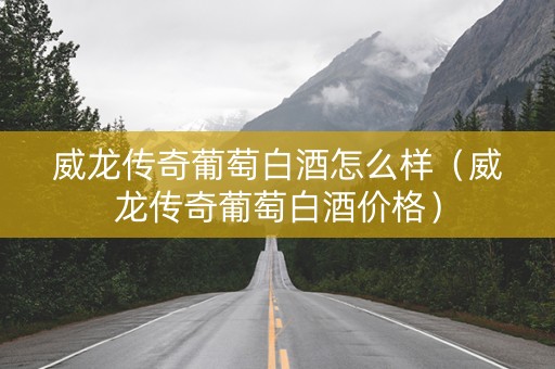 威龙传奇葡萄白酒怎么样（威龙传奇葡萄白酒价格）