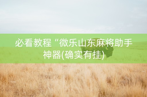 必看教程“微乐山东麻将助手神器(确实有挂)
