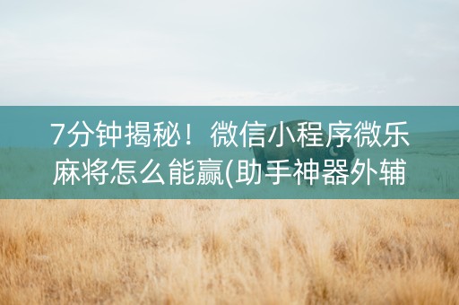 7分钟揭秘！微信小程序微乐麻将怎么能赢(助手神器外辅工具)