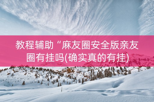 教程辅助“麻友圈安全版亲友圈有挂吗(确实真的有挂)