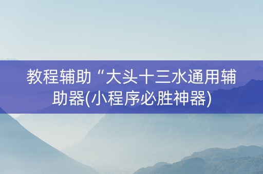 教程辅助“大头十三水通用辅助器(小程序必胜神器)
