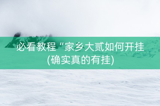 必看教程“家乡大贰如何开挂(确实真的有挂)