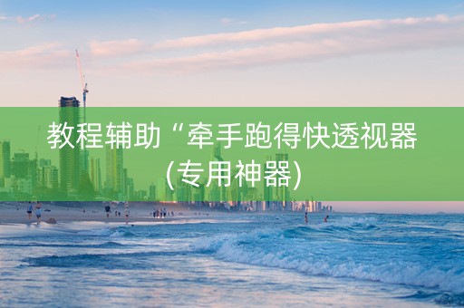 教程辅助“牵手跑得快透视器(专用神器)