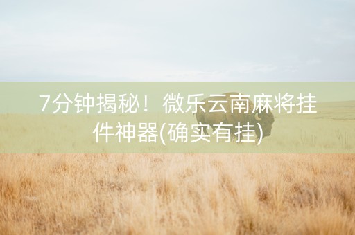7分钟揭秘！微乐云南麻将挂件神器(确实有挂)