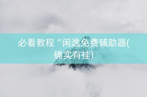 必看教程“闲逸免费辅助器(确实有挂)