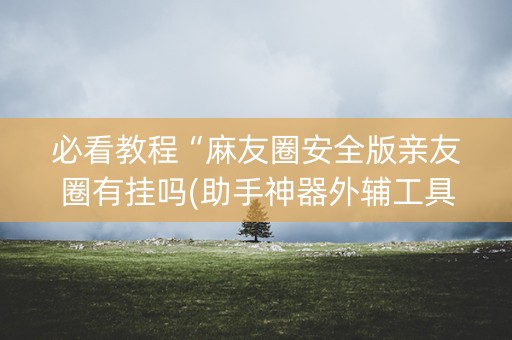 必看教程“麻友圈安全版亲友圈有挂吗(助手神器外辅工具)