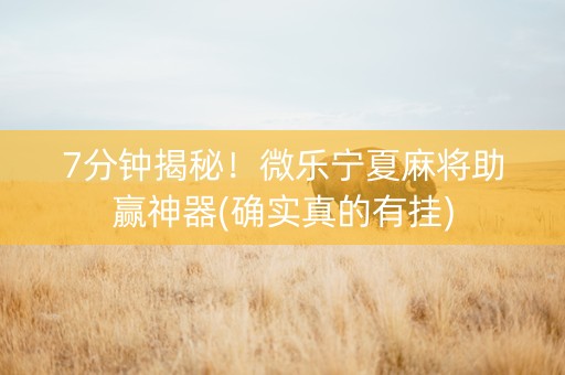 7分钟揭秘！微乐宁夏麻将助赢神器(确实真的有挂)