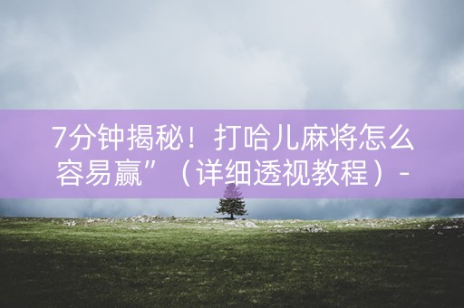 7分钟揭秘！打哈儿麻将怎么容易赢”（详细透视教程）-哔哩哔哩