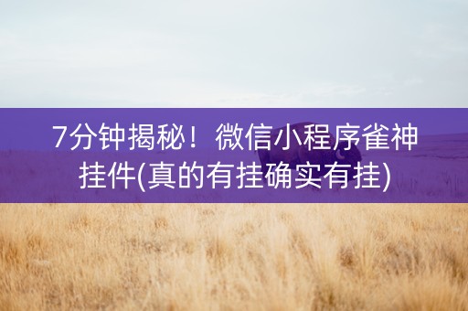 7分钟揭秘！微信小程序雀神挂件(真的有挂确实有挂)