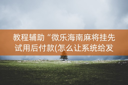 教程辅助“微乐海南麻将挂先试用后付款(怎么让系统给发好牌)