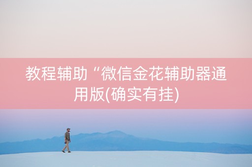 教程辅助“微信金花辅助器通用版(确实有挂)