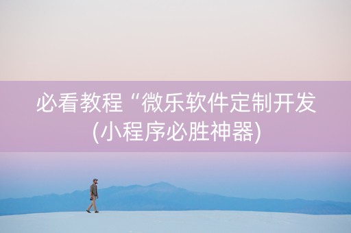 必看教程“微乐软件定制开发(小程序必胜神器)