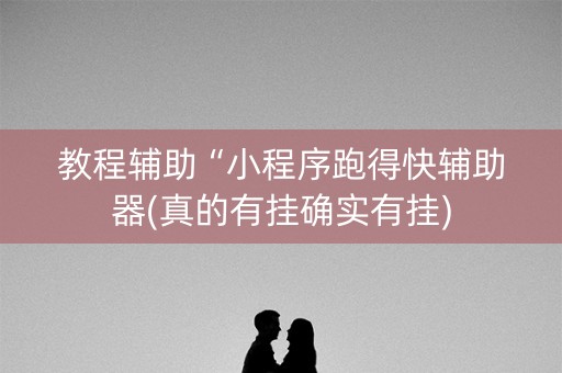 教程辅助“小程序跑得快辅助器(真的有挂确实有挂)