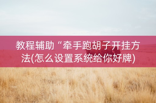 教程辅助“牵手跑胡子开挂方法(怎么设置系统给你好牌)