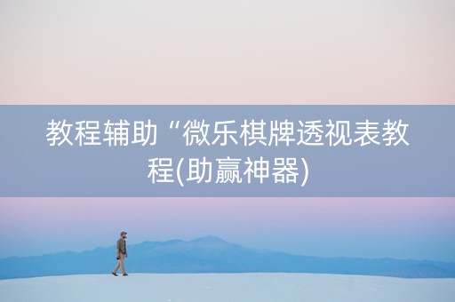 教程辅助“微乐棋牌透视表教程(助赢神器)