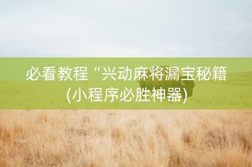 必看教程“兴动麻将漏宝秘籍(小程序必胜神器)