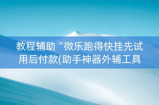 教程辅助“微乐跑得快挂先试用后付款(助手神器外辅工具)