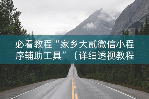 必看教程“家乡大贰微信小程序辅助工具”（详细透视教程）-哔哩哔哩