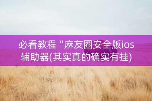 必看教程“麻友圈安全版ios辅助器(其实真的确实有挂)