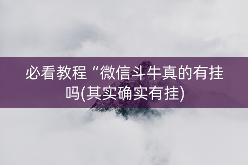 必看教程“微信斗牛真的有挂吗(其实确实有挂)
