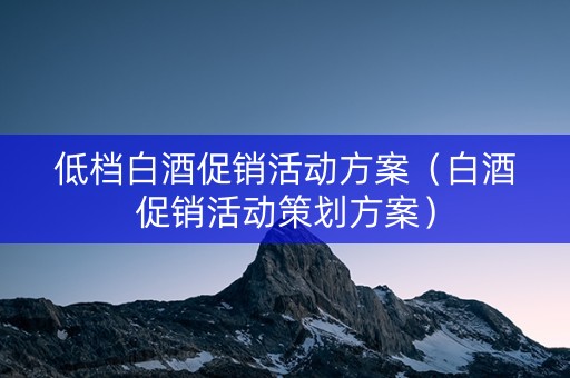 低档白酒促销活动方案（白酒促销活动策划方案）