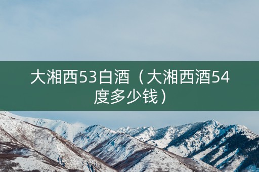 大湘西53白酒（大湘西酒54度多少钱）