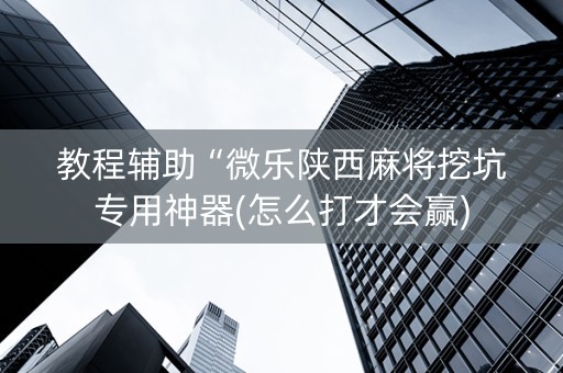 教程辅助“微乐陕西麻将挖坑专用神器(怎么打才会赢)
