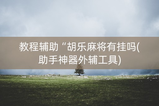 教程辅助“胡乐麻将有挂吗(助手神器外辅工具)