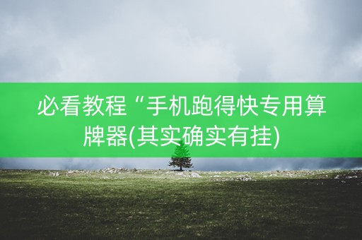 必看教程“手机跑得快专用算牌器(其实确实有挂)