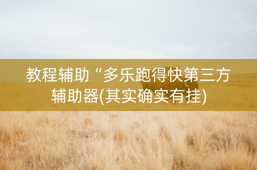 教程辅助“多乐跑得快第三方辅助器(其实确实有挂)