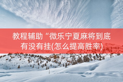 教程辅助“微乐宁夏麻将到底有没有挂(怎么提高胜率)