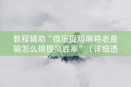 教程辅助“微乐捉鸡麻将老是输怎么搞提高胜率”（详细透视教程）-哔哩哔哩