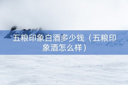 五粮印象白酒多少钱（五粮印象酒怎么样）