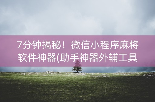 7分钟揭秘！微信小程序麻将软件神器(助手神器外辅工具)