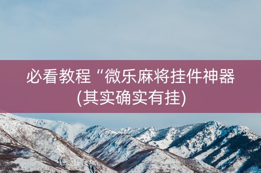 必看教程“微乐麻将挂件神器(其实确实有挂)